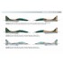 1/144 MiG-29UB Series 9-51 Twin Seater ''Early Years of Ukrainian AF'' Set #3