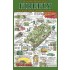 1/35 British Sherman 5C FIREFLY with Cast Cheek-armour Turret