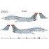 Decals for 1/48 Grumman F-14D VF-11 Red Rippers CVN-70 1996