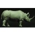 54mm, 1/35 Black Rhino