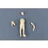 1/35 Italian Armoured Car Standing Officer