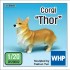 1/20 Corgi "Thor" (dog)