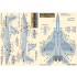 Decals for 1/48 JASDF Mitsubishi F-15J/DJ Aggressors Caution Data