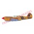 1/48 RAAF Curtiss P-40E Warhawk Dual Combo [Royal Class]