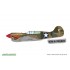 1/48 P-40K Warhawk Dual Combo [Royal Class Edition]