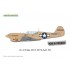 1/48 Curtiss P-40N Warhawk Dual Combo [Royal Class] (RAAF decal included)