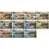 1/48 Curtiss P-40N Warhawk Dual Combo [Royal Class] (RAAF decal included)