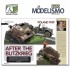 Colour Book - Special Issue: Euro Modelismo No.251 (English, 80 pages)