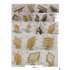 1/350 WWII USN Radar Set IV for Heavy and Light Cruisers