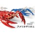 Crayfish (Procambarus clarkii) #White (23x14x6cm) [FI24 EX2]