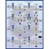 1/32 P-51 B/D Decal - Meyer's Maulers Part I