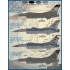 1/48 F-16 Air National Guard Vipers Decals