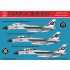 Decals for 1/48 Grumman F-14A Tomcat Black Aces/USS Nimitz