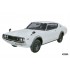 1/24 Nissan Skyline 2000GT-R (KPGC110)