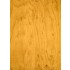 1/48 Bright Yellow Tone Pine Tree Wood Grain Base White Decals (32pcs, A4 Sheet) 