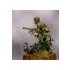 54mm Scale USMC Guadalcanal Battle 1942 (metal figure)