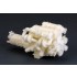 1/24 Toyota 2JZ Engine Kit (Resin+PE)