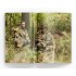 Easy Company 506 PIR in Normandy (English, 344 pages)
