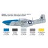 1/72 P-51D Mustang Aces