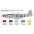 1/72 P-51D Mustang Aces