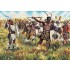 1/72 Zulu Warriors in Zulu Wars