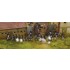 1/72 Battle of Austerlitz 1805, Fighting for Sokolnice, 220th Anniversary