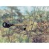 1/72 WWII Pak 40 Anti-tank Gun