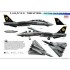 Decals for 1/72 Grumman F-14D Tomcat VF-31 Tomcatters The Final Day's CAG Bird 