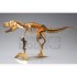 Photo-etched Skeleton Series Dinosaur: Tyrannosaurus (length: 145mm, height: 57mm)