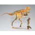 Photo-etched Skeleton Series Dinosaur: Tyrannosaurus (length: 145mm, height: 57mm)