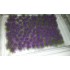 Lavender for 1/35, 1/48, 1/72, 1/87 scales