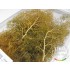 Fine Branches for all scales