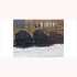 1/45 Black Coal (100g)