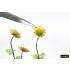 Paper Sunflowers for Dioramas for 1/32 1/35 1/48 Scale kits