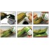 Algae Powder and Colour Paint Set (6 x 22ml)
