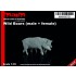 1/35 Wild Boars (Male + Female)