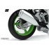 1/9 Kawasaki ZX-10R Motorcycle [Pre-coloured Edition]