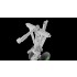 1/72 IL-18, IL-20, IL-22, IL-38 Landing Gears with Wheels for Amodel kits