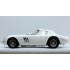 1/12 Ferrari 250GTO Ver.B - 1964 Sarthe 24hr Race #26 Hugus/Rosinski (Full Detail kit)