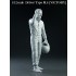 1/12 "Dive Nine" Figure Series - Driver Type M.S [Victory] 