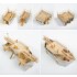 1/200 IJN Battleship Mikasa Deluxe Pack Detail Set w/Wooden Deck for Merit International