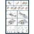 1/350 CV-64 Constellation Detail-up Part DX for Trumpeter kits