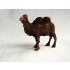 1/35 Bactrian Camel
