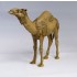 1/35 Camel