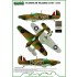 1/48 Stanislaw Skalski planes Decals