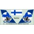 1/48 Finnish F/A-18C Display Team 2022 (decal)