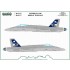 1/48 Finnish F/A-18C Display Team 2022 (decal)