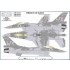 1/48 Polish F-16C - Raven - Refresched Masks and Decals Set