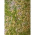 Forest Base Grass Mat - Pinewood Mini Pack (Size: 13 x 17 cm)