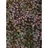Grass Mat - Heathland Mini Pack (Size: 13 x 17 cm)